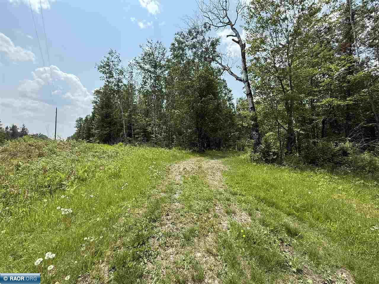 TBD Samuelson Road-Sec22 Angora MN 55703 150164 image1