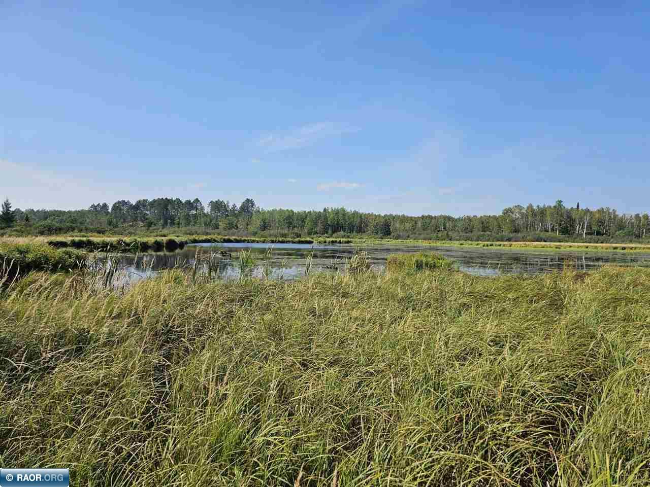TBD Samuelson Road-Sec22 Angora MN 55703 150164 image20