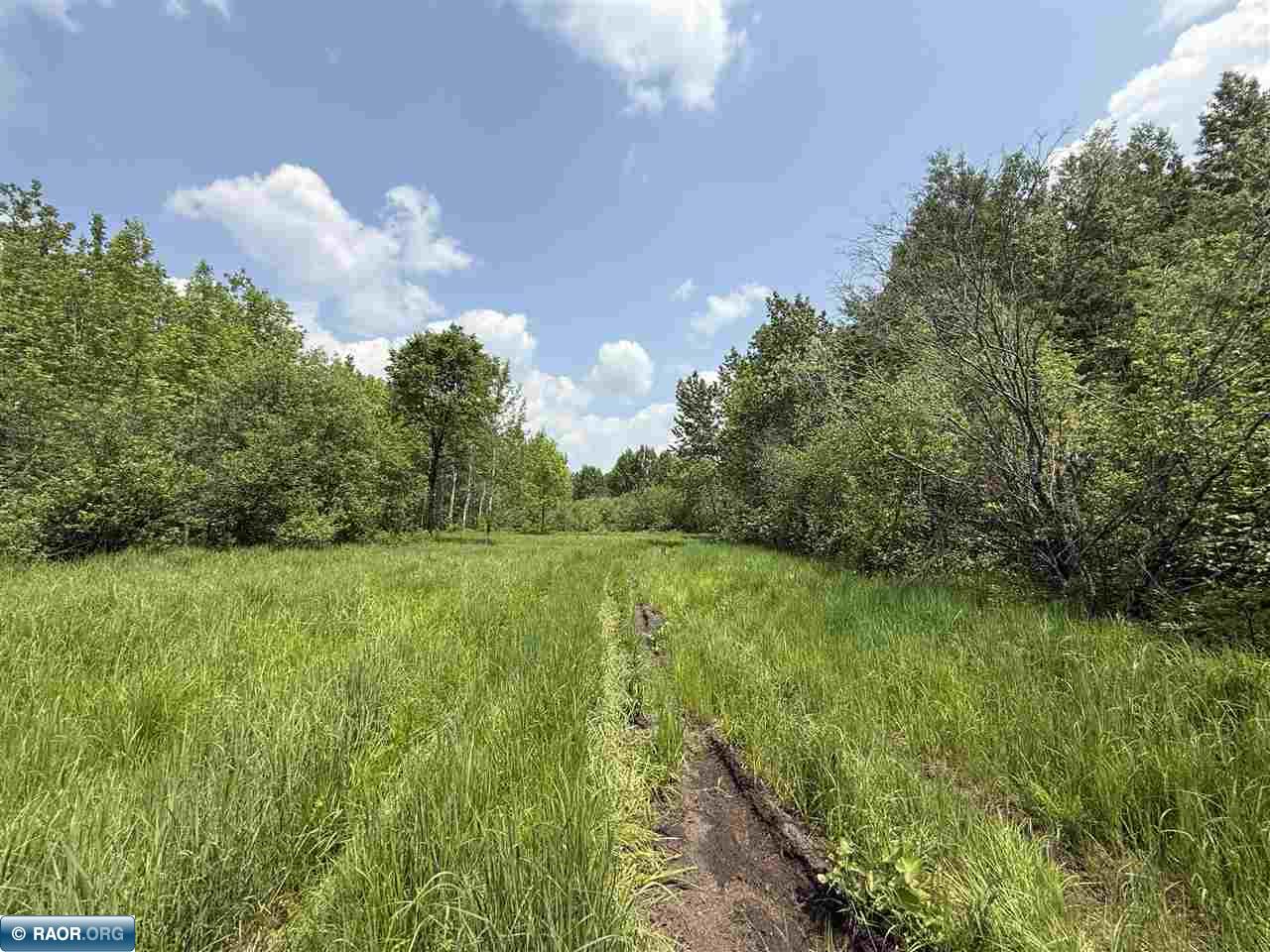 TBD Samuelson Road-Sec22 Angora MN 55703 150164 image24