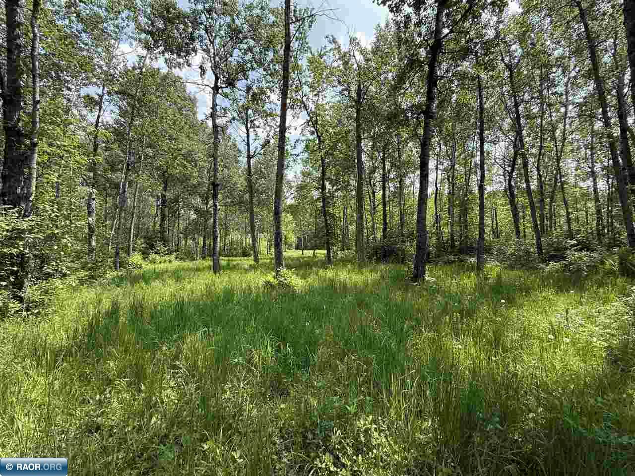 TBD Samuelson Road-Sec22 Angora MN 55703 150164 image25