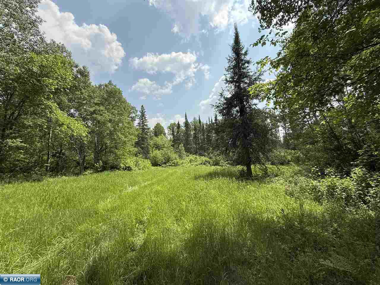 TBD Samuelson Road-Sec22 Angora MN 55703 150164 image26