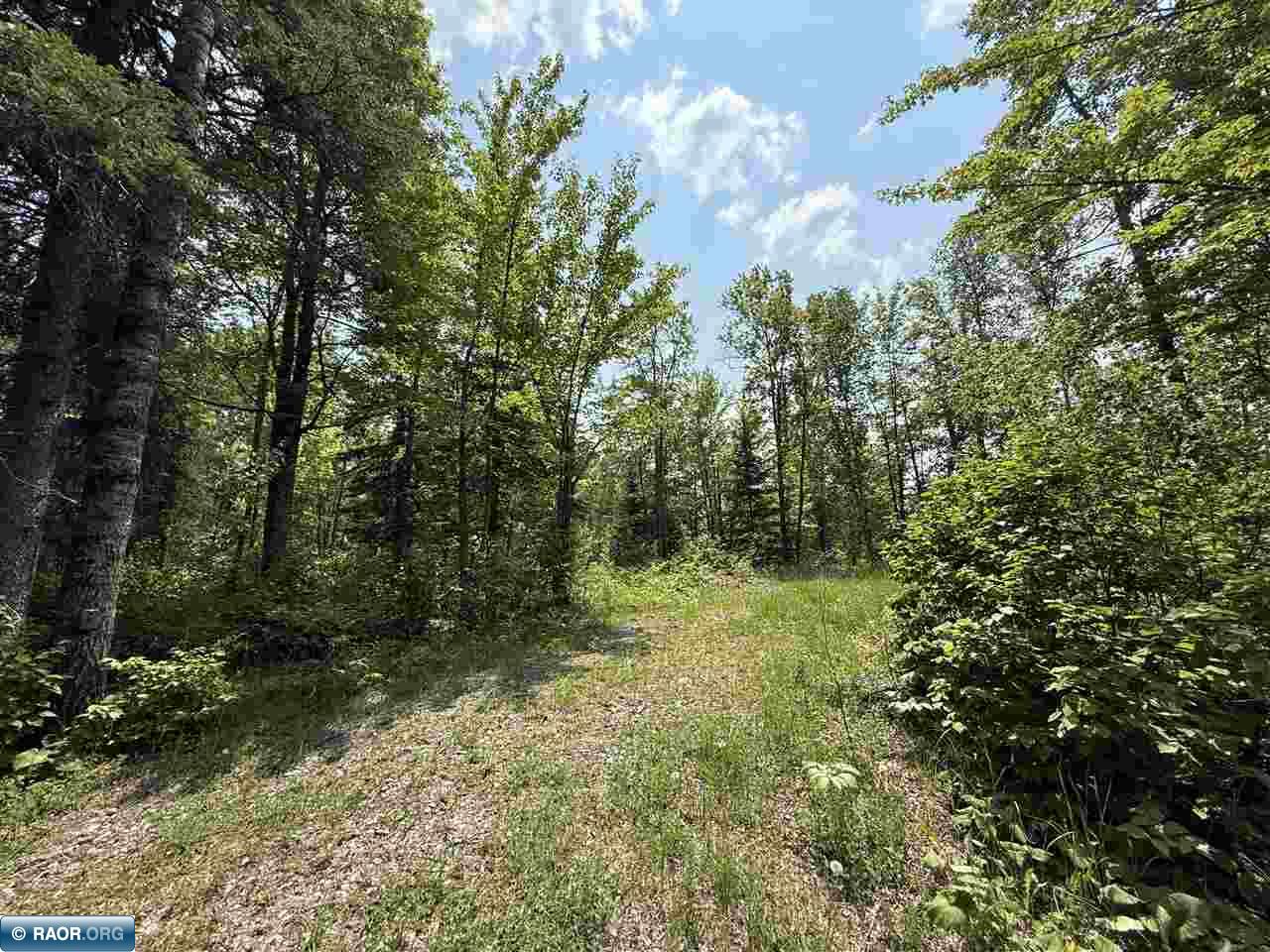 TBD Samuelson Road-Sec22 Angora MN 55703 150164 image27