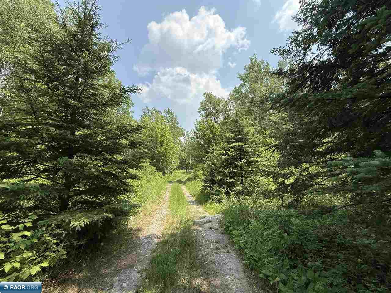 TBD Samuelson Road-Sec22 Angora MN 55703 150164 image28