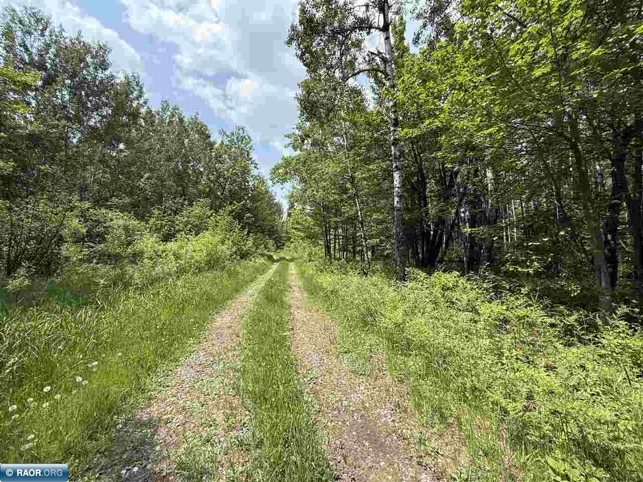 TBD Samuelson Road-Sec22 Angora MN 55703 150164 image3