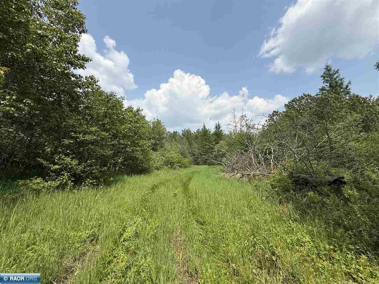 TBD Samuelson Road-Sec22 Angora MN 55703 150164 image38