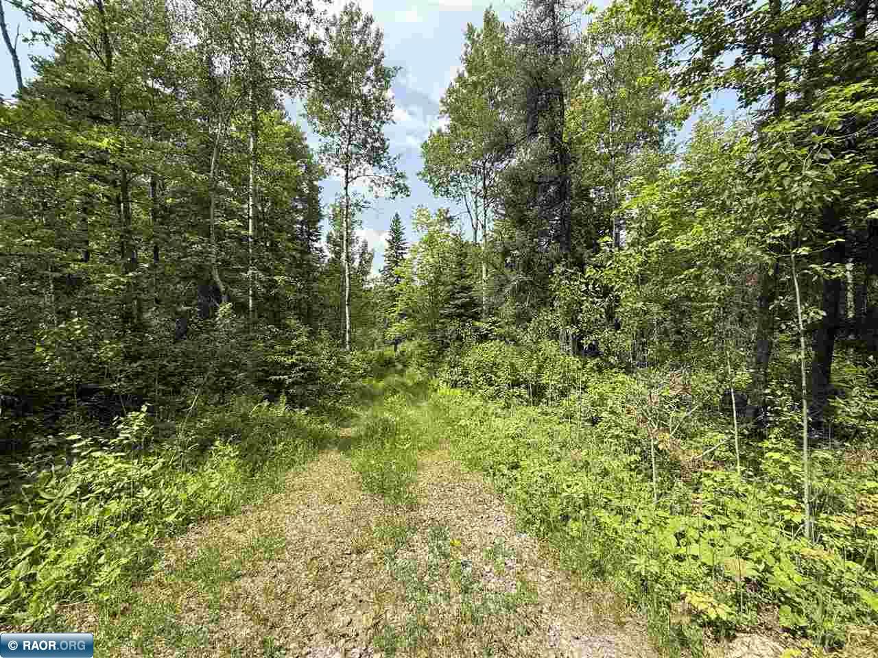 TBD Samuelson Road-Sec22 Angora MN 55703 150164 image4