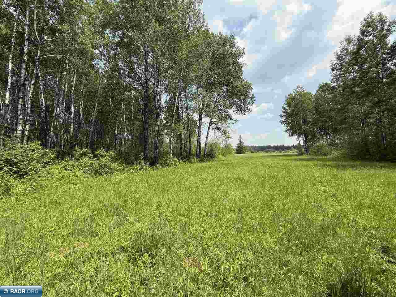TBD Samuelson Road-Sec22 Angora MN 55703 150164 image40