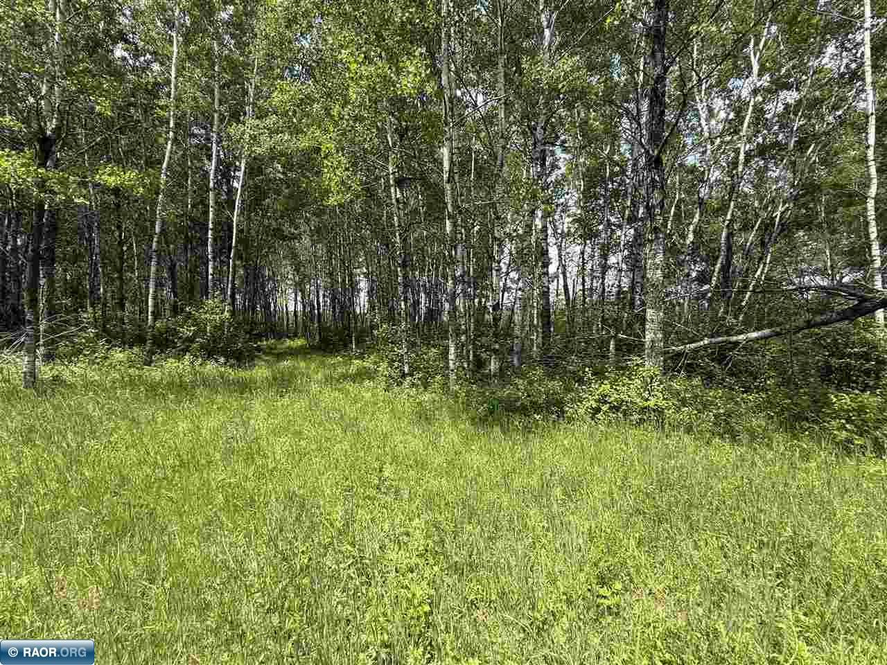 TBD Samuelson Road-Sec22 Angora MN 55703 150164 image41