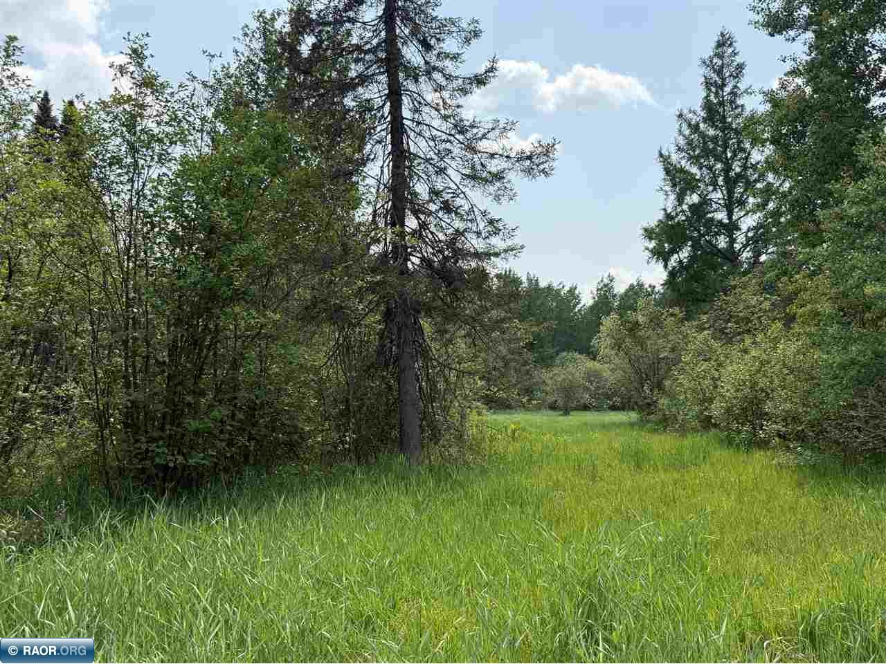 TBD Samuelson Road-Sec22 Angora MN 55703 150164 image43