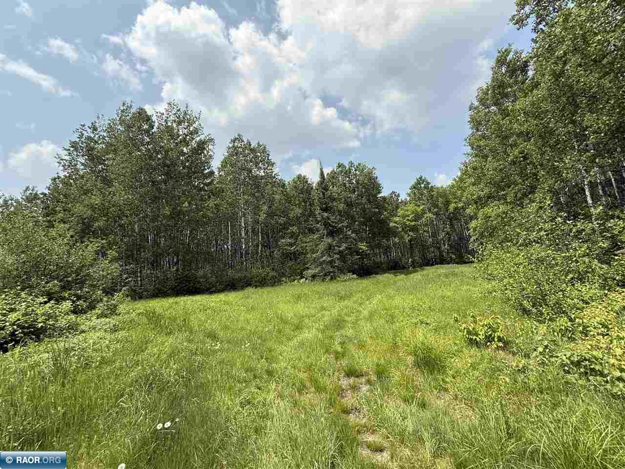 TBD Samuelson Road-Sec22 Angora MN 55703 150164 image5
