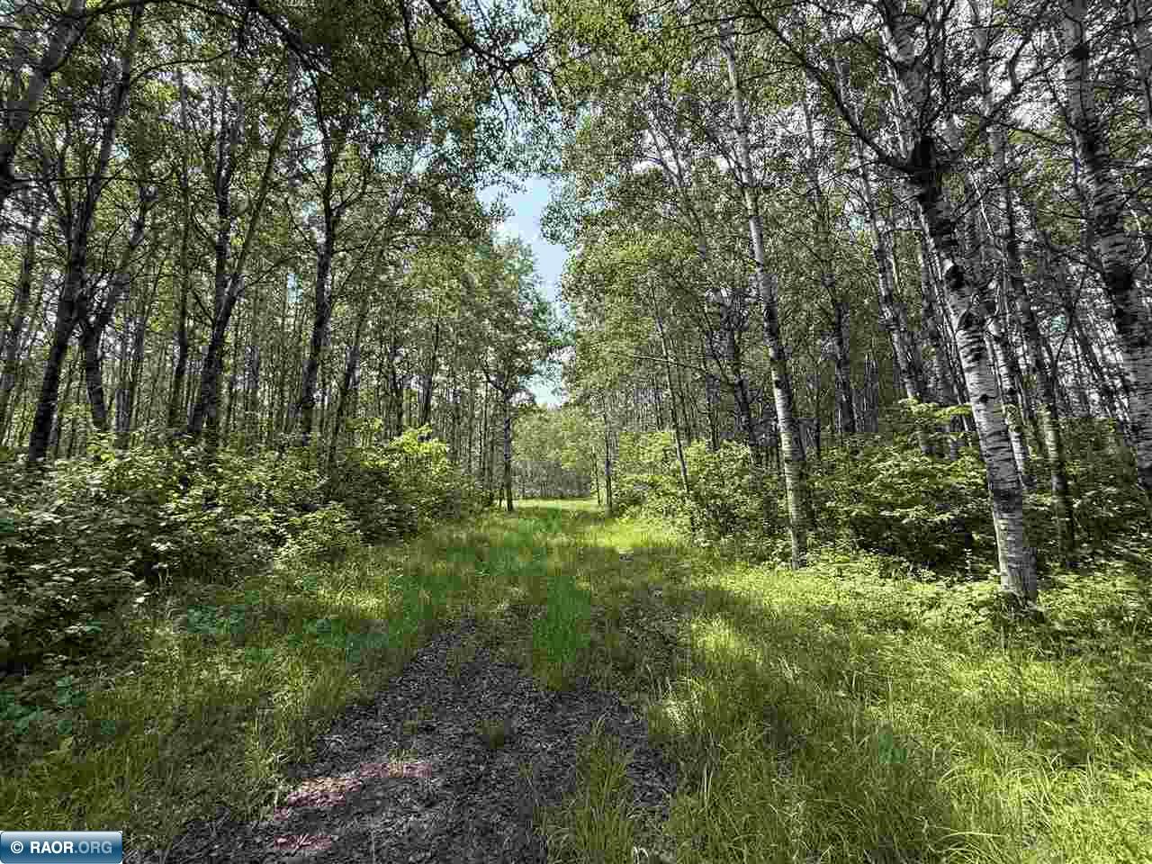 TBD Samuelson Road-Sec22 Angora MN 55703 150164 image6