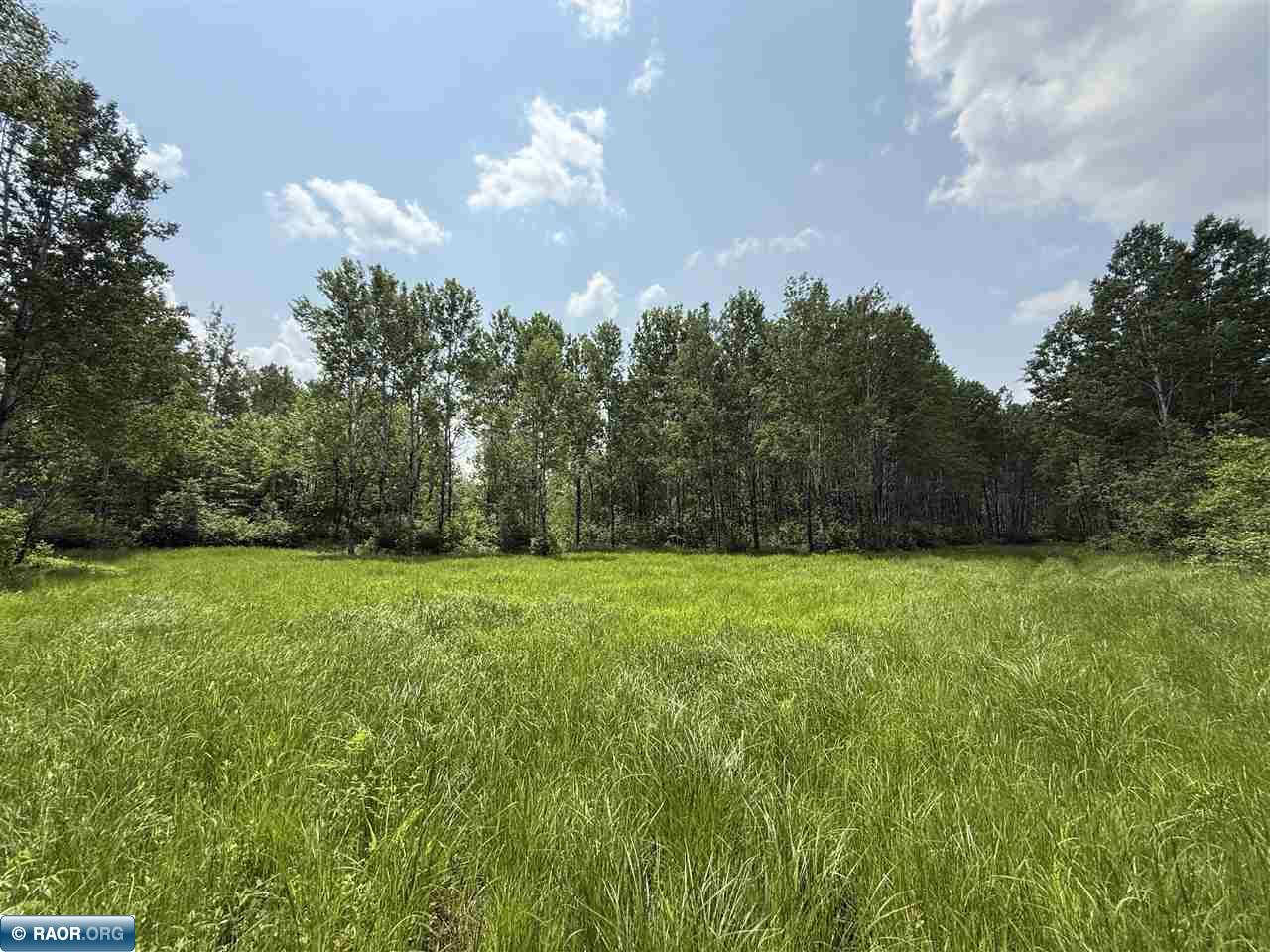 TBD Samuelson Road-Sec22 Angora MN 55703 150164 image7