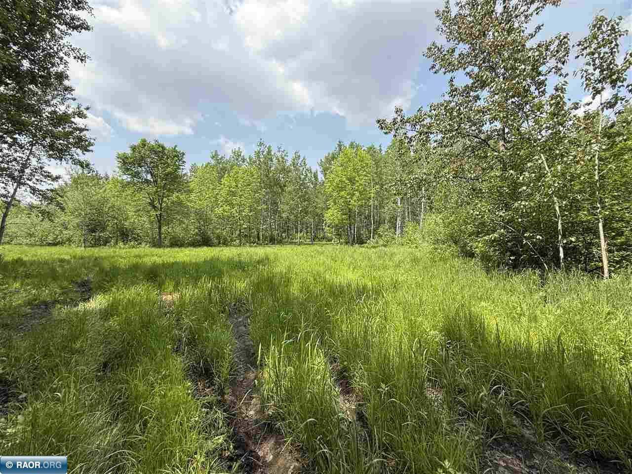 TBD Samuelson Road-Sec22 Angora MN 55703 150164 image9