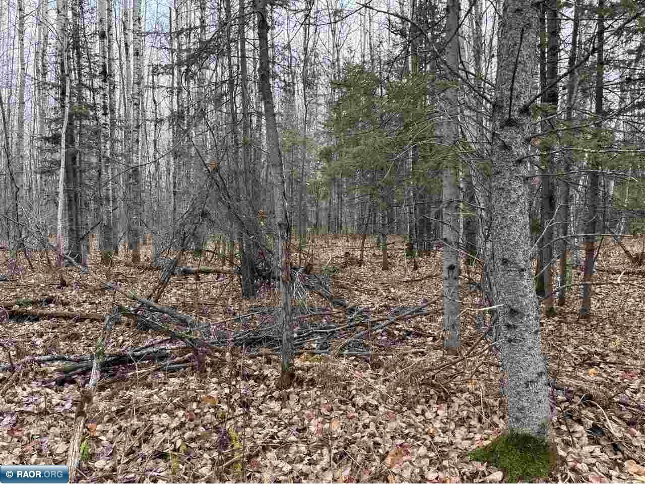 TBD Shannon Lake Rd Side Lake MN 55781 149425 image1