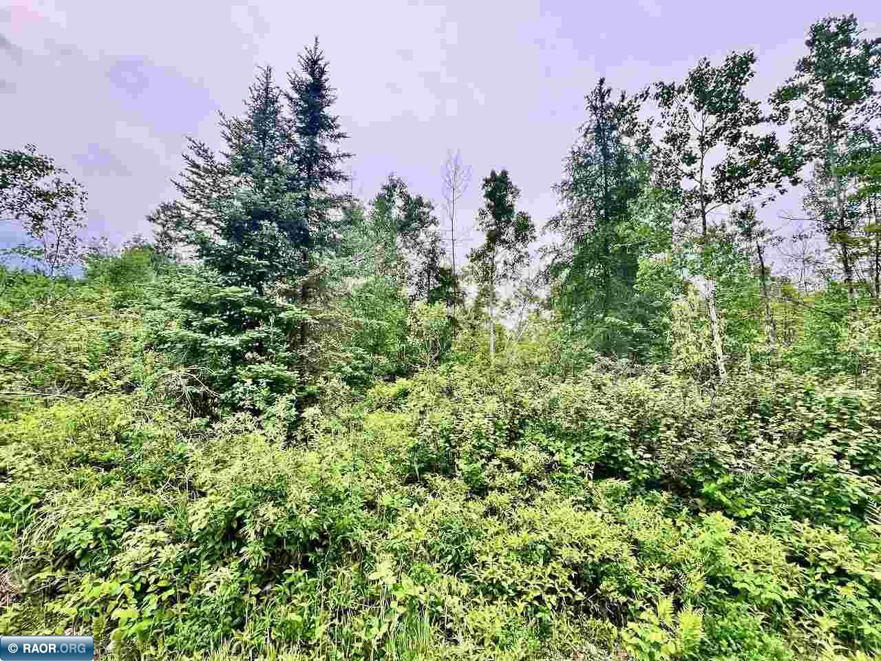 TBD Shuster Rd Orr MN 55771 148537 image1