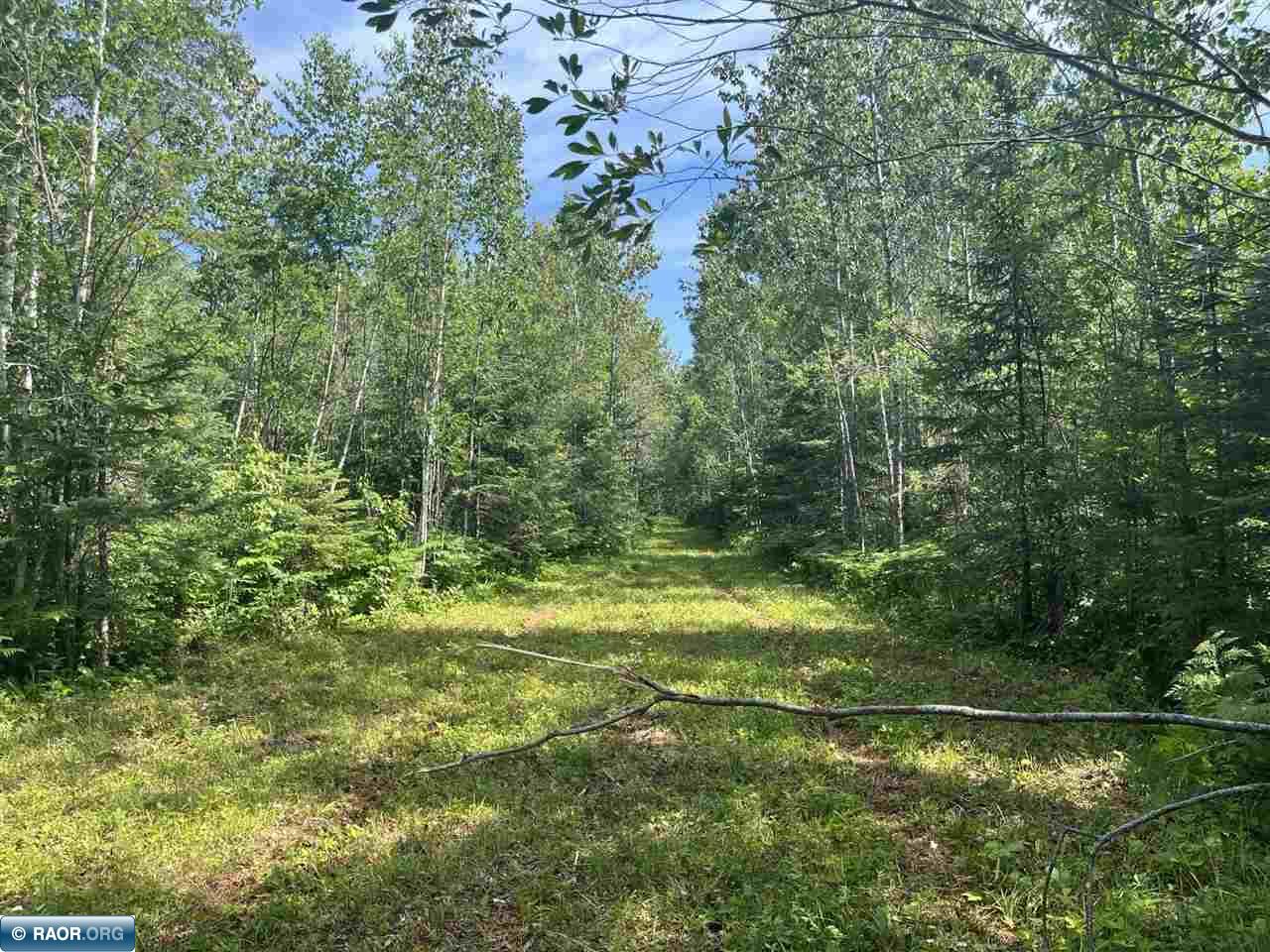 TBD Town Road 118 Birchdale MN 56629 149836 image1