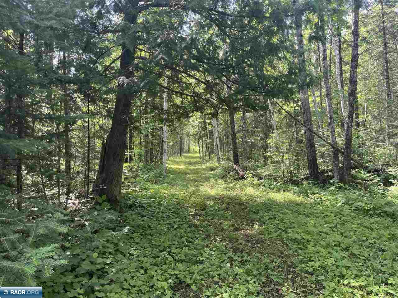 TBD Town Road 118 Birchdale MN 56629 149836 image2