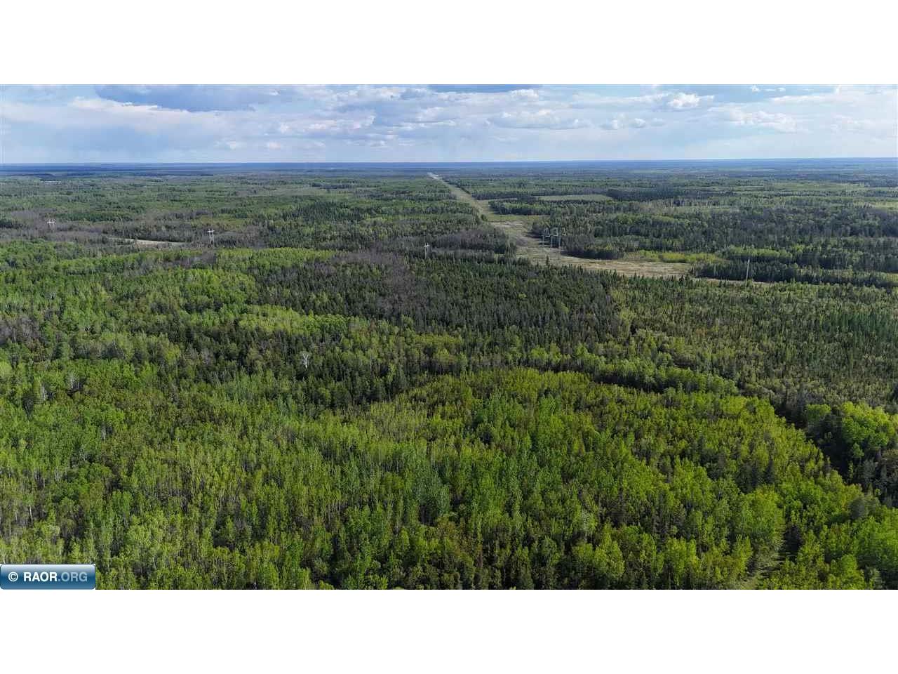 TBD Town Road 118 Birchdale MN 56629 149836 image3