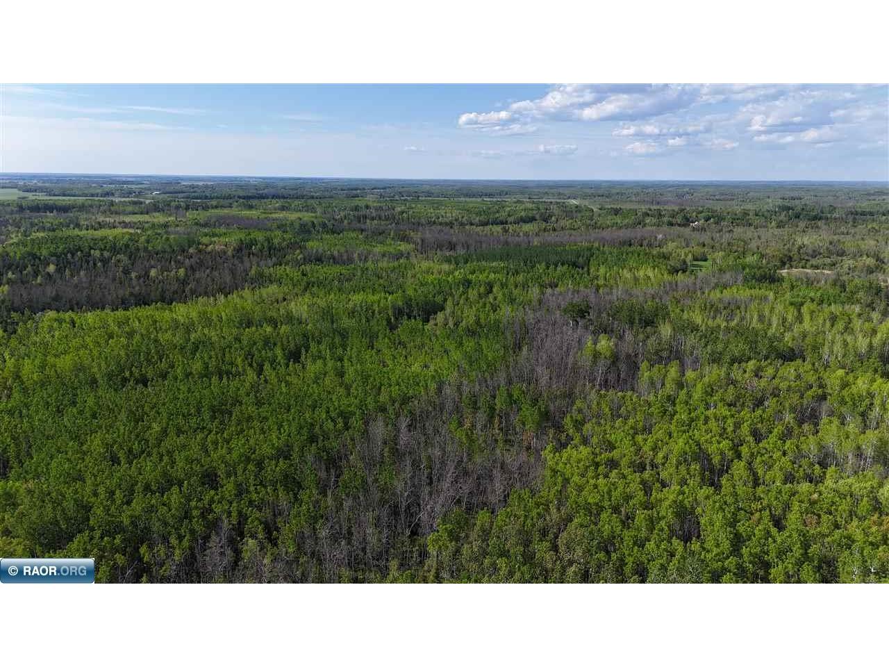 TBD Town Road 118 Birchdale MN 56629 149836 image4
