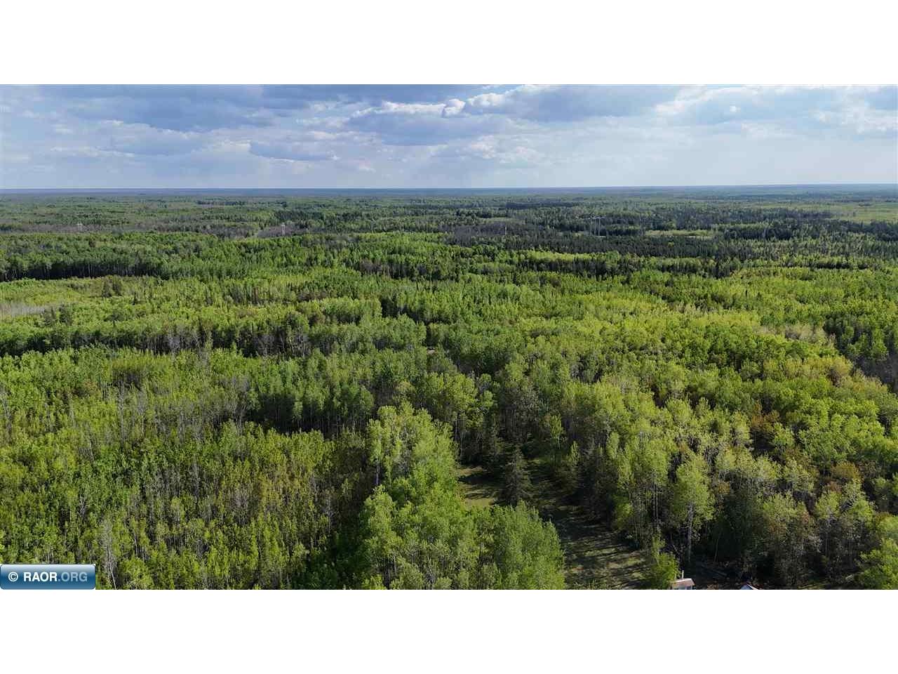 TBD Town Road 118 Birchdale MN 56629 149836 image5
