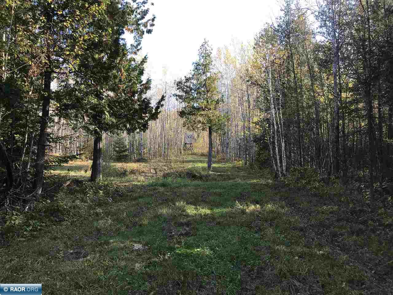 TBD Town Road 118 Birchdale MN 56629 149836 image6