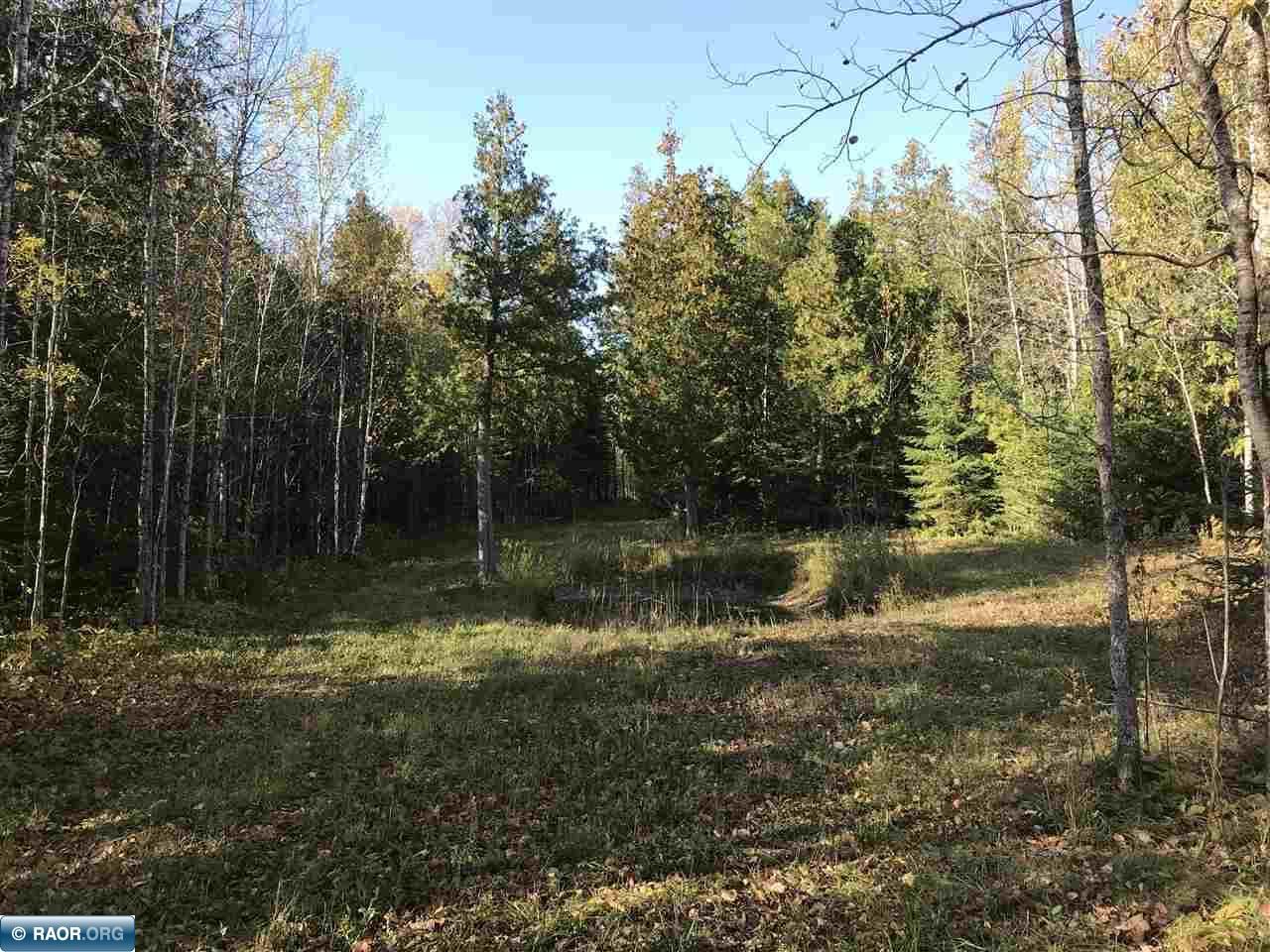 TBD Town Road 118 Birchdale MN 56629 149836 image7