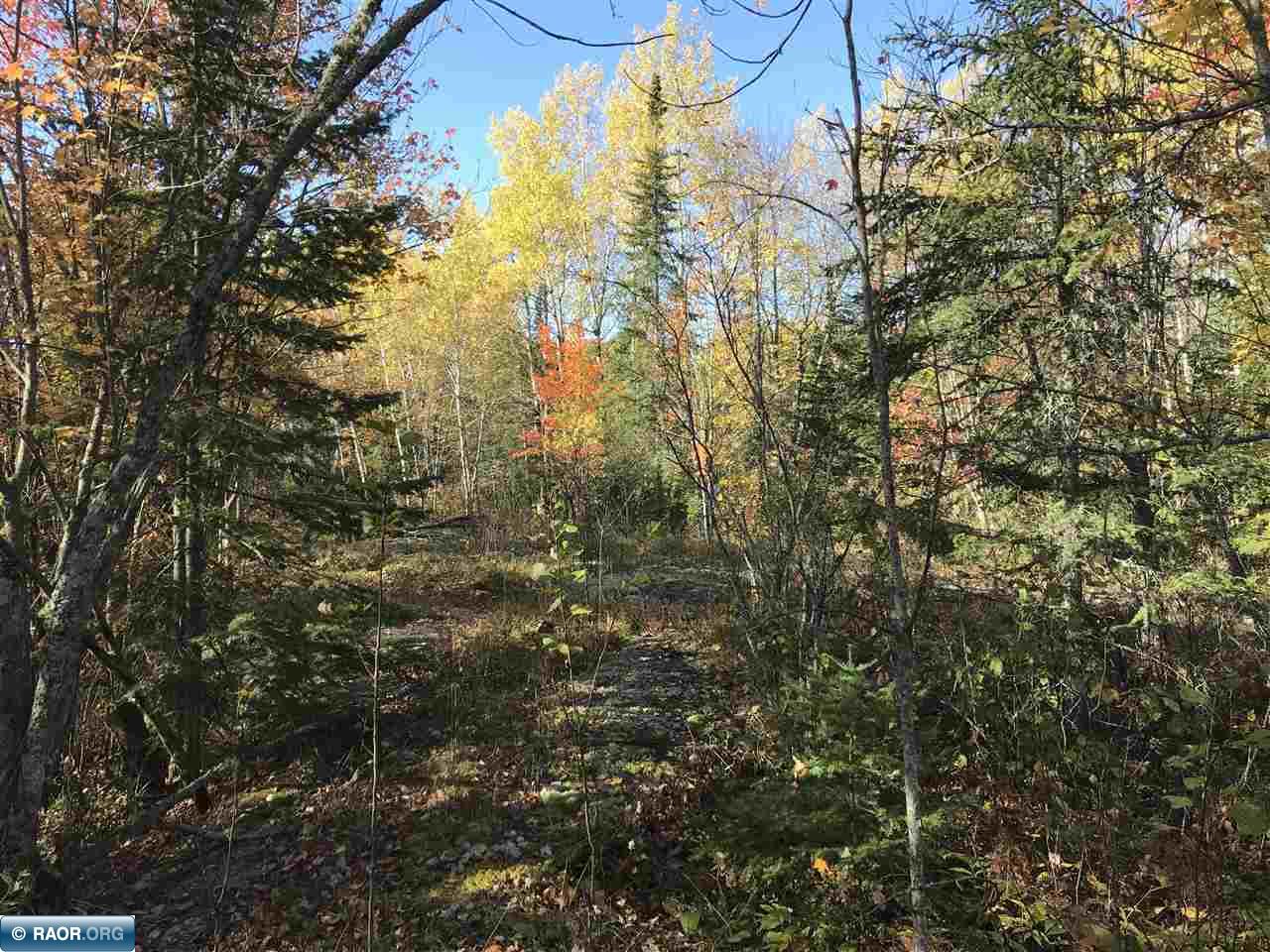 TBD Town Road 118 Birchdale MN 56629 149836 image8