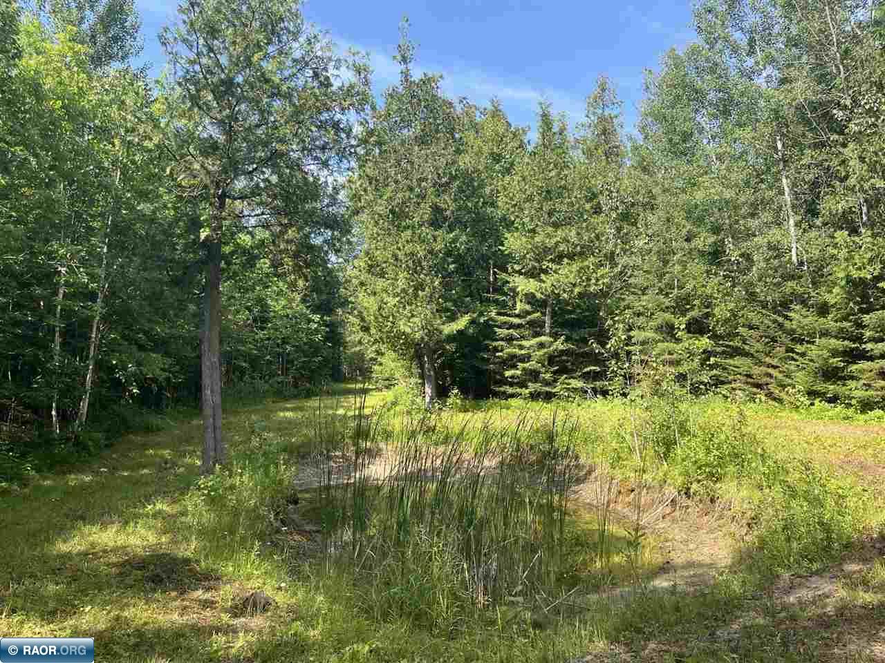TBD Town Road 118 Birchdale MN 56629 149836 image9