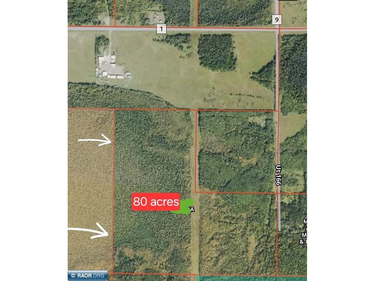 TBD Town Road 166 Littlefork MN 56653 148483 image12