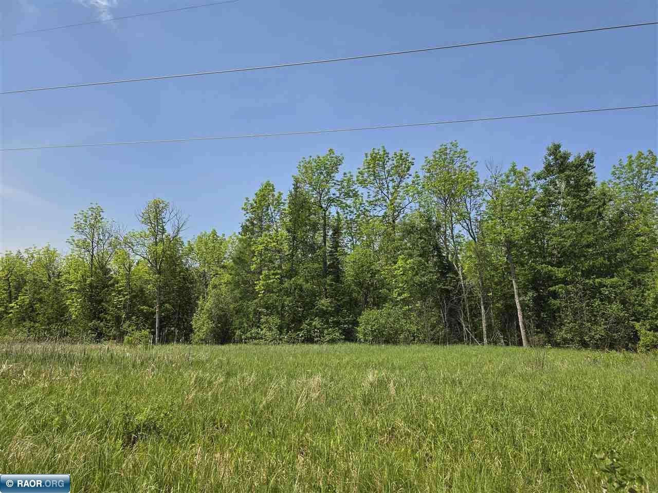 TBD Town Road 166 Littlefork MN 56653 148483 image3