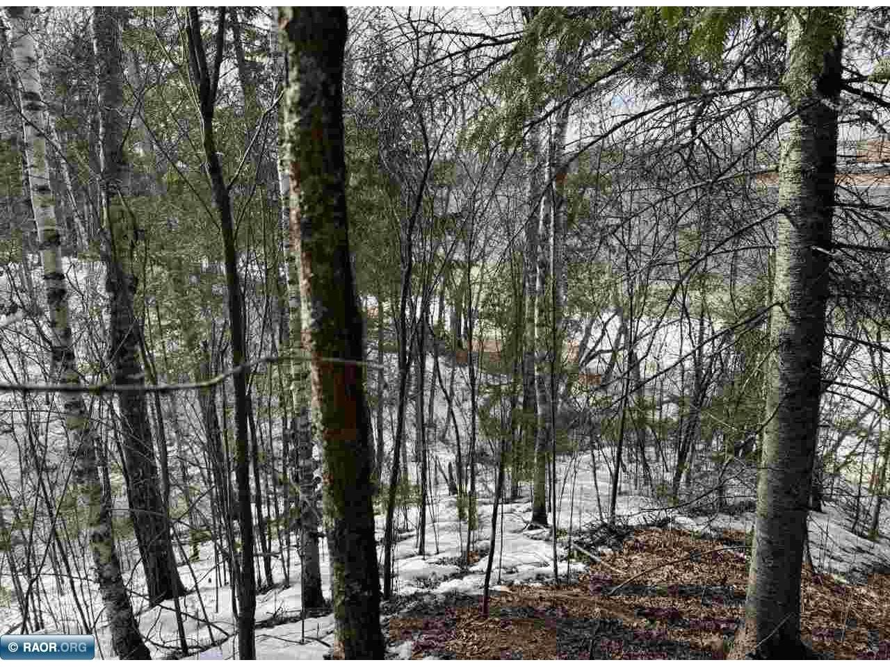 TBD Town Road 211 International Falls MN 56649 - Rainy River 149665 image10