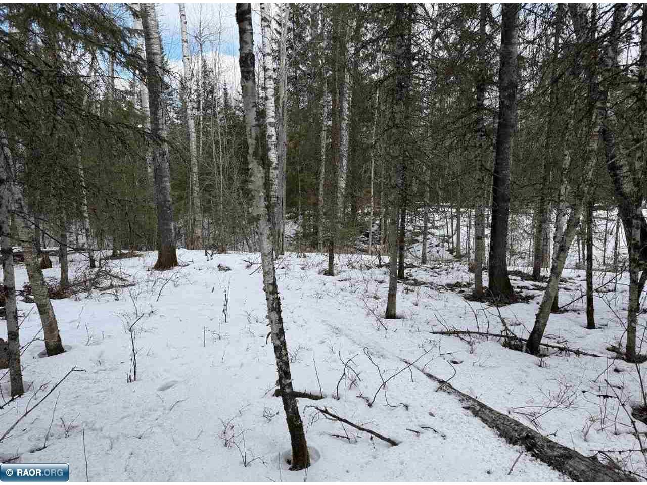 TBD Town Road 211 International Falls MN 56649 - Rainy River 149665 image12