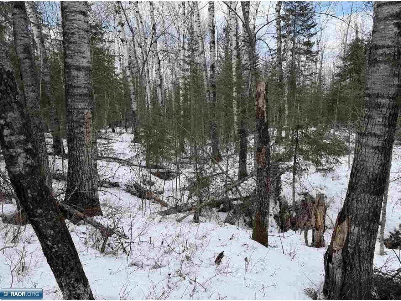 TBD Town Road 211 International Falls MN 56649 - Rainy River 149665 image13