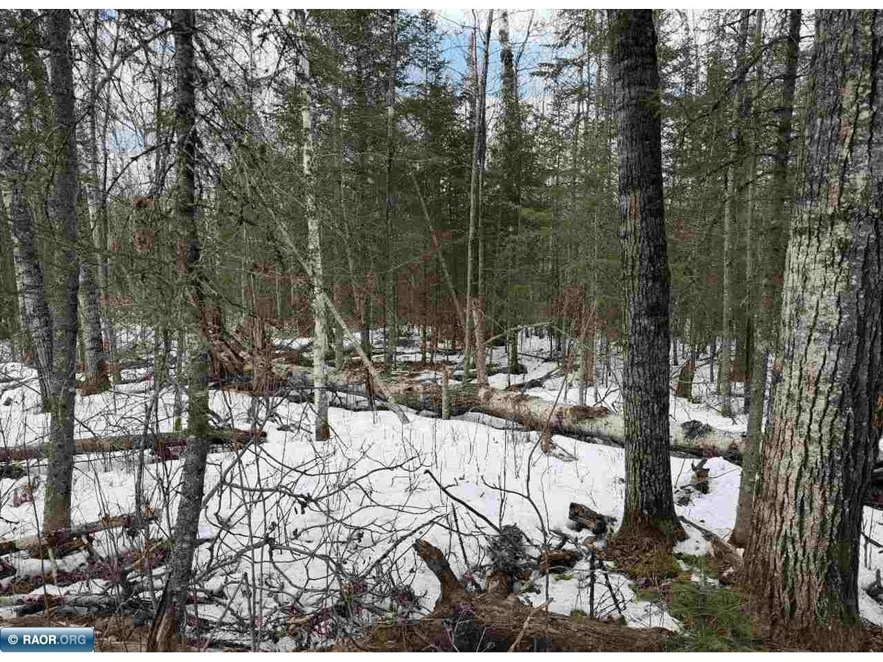 TBD Town Road 211 International Falls MN 56649 - Rainy River 149665 image14