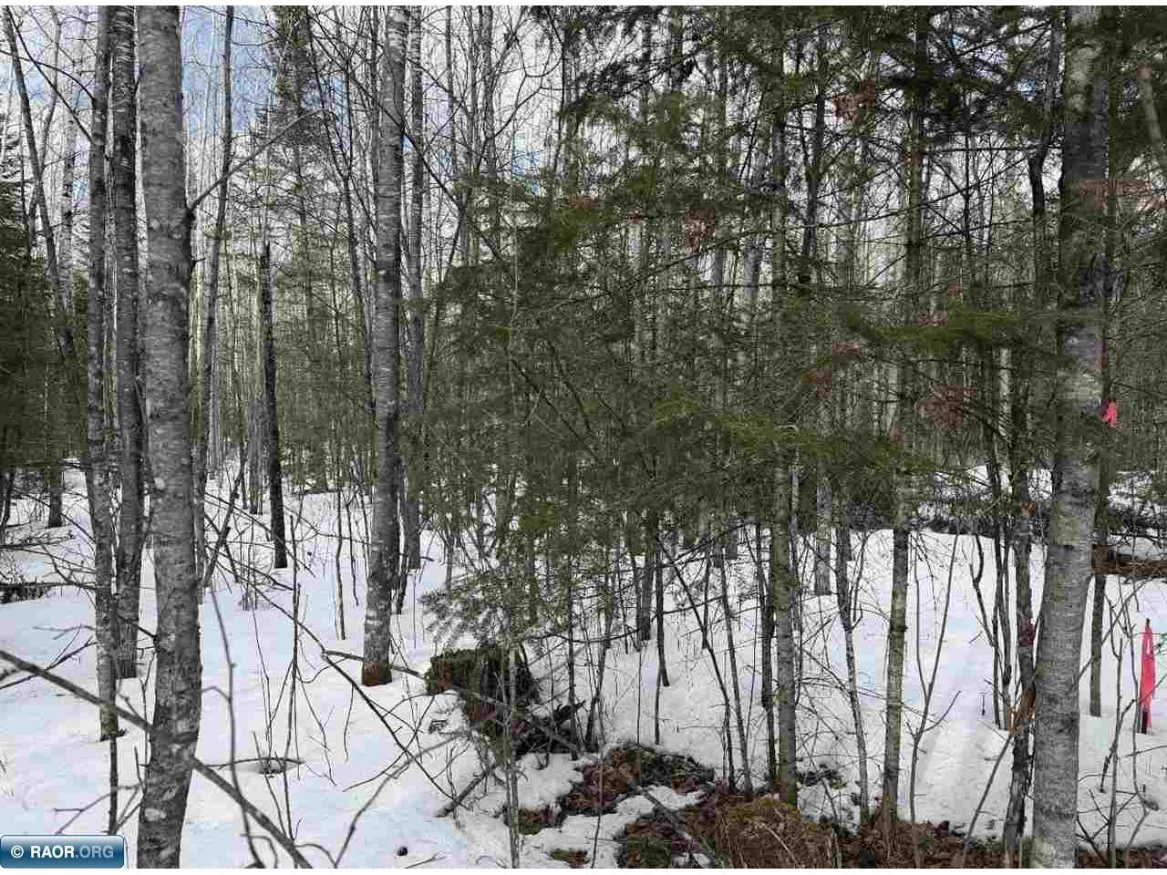 TBD Town Road 211 International Falls MN 56649 - Rainy River 149665 image15