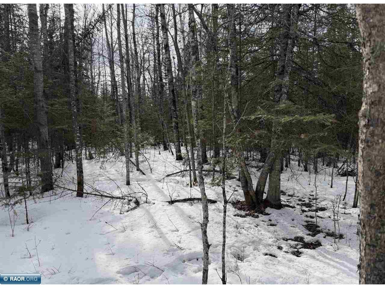 TBD Town Road 211 International Falls MN 56649 - Rainy River 149665 image16