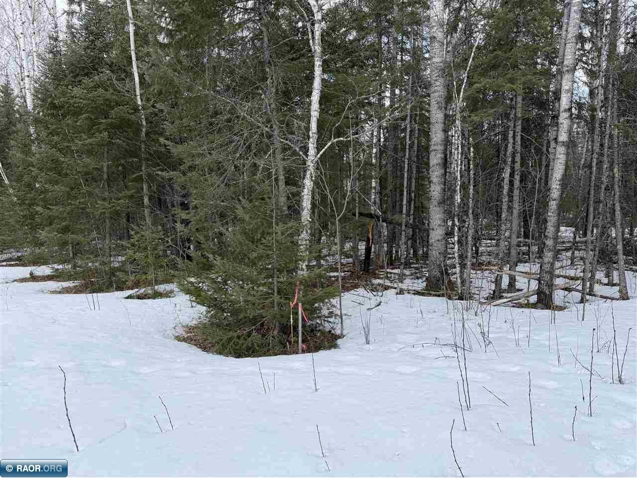 TBD Town Road 211 International Falls MN 56649 - Rainy River 149665 image2
