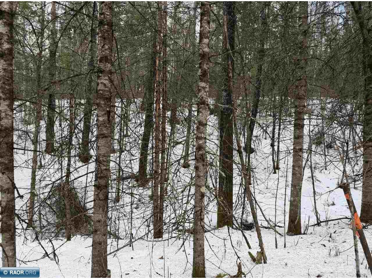 TBD Town Road 211 International Falls MN 56649 - Rainy River 149665 image22