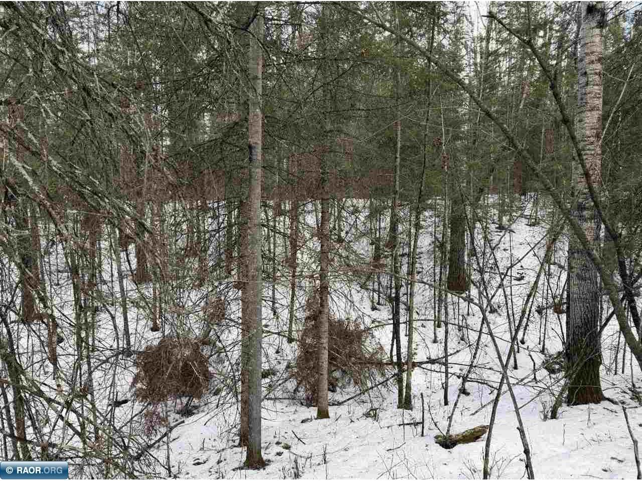 TBD Town Road 211 International Falls MN 56649 - Rainy River 149665 image23