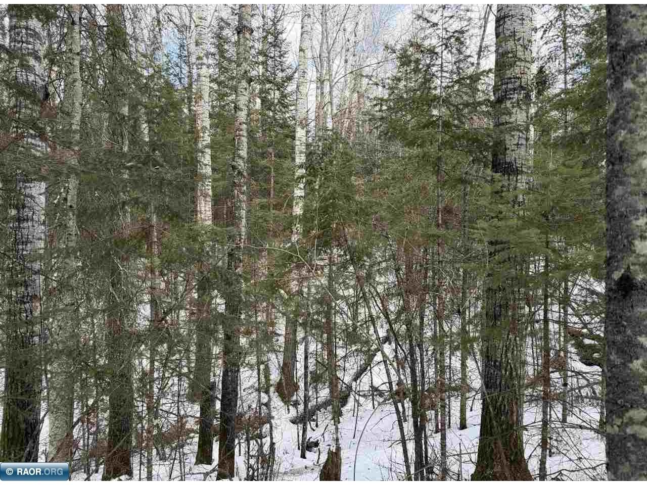 TBD Town Road 211 International Falls MN 56649 - Rainy River 149665 image24