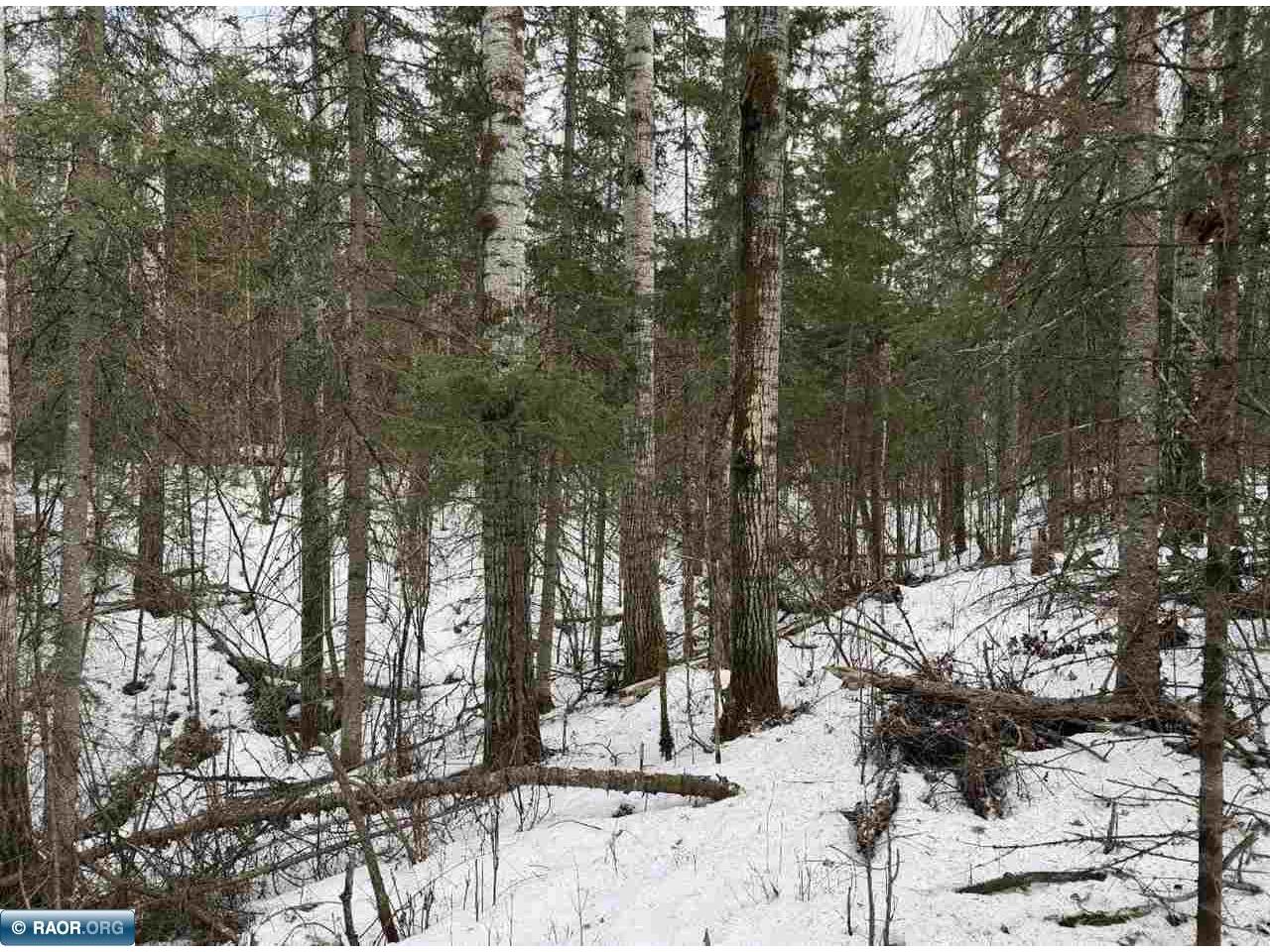TBD Town Road 211 International Falls MN 56649 - Rainy River 149665 image25