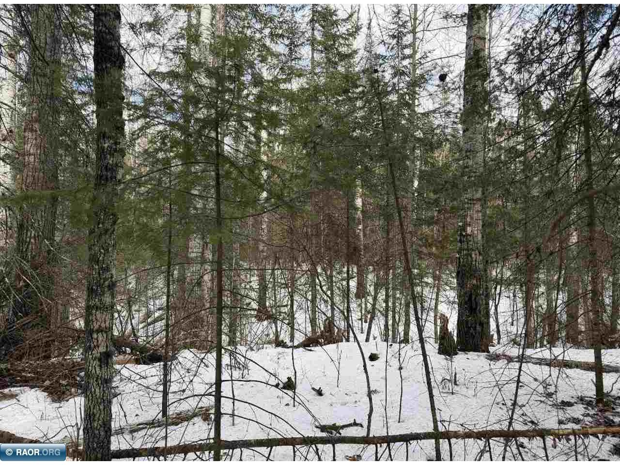 TBD Town Road 211 International Falls MN 56649 - Rainy River 149665 image26