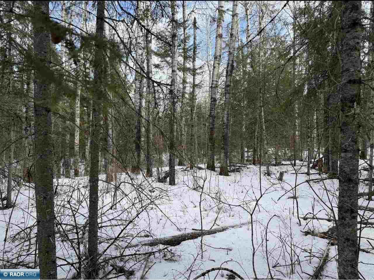 TBD Town Road 211 International Falls MN 56649 - Rainy River 149665 image27