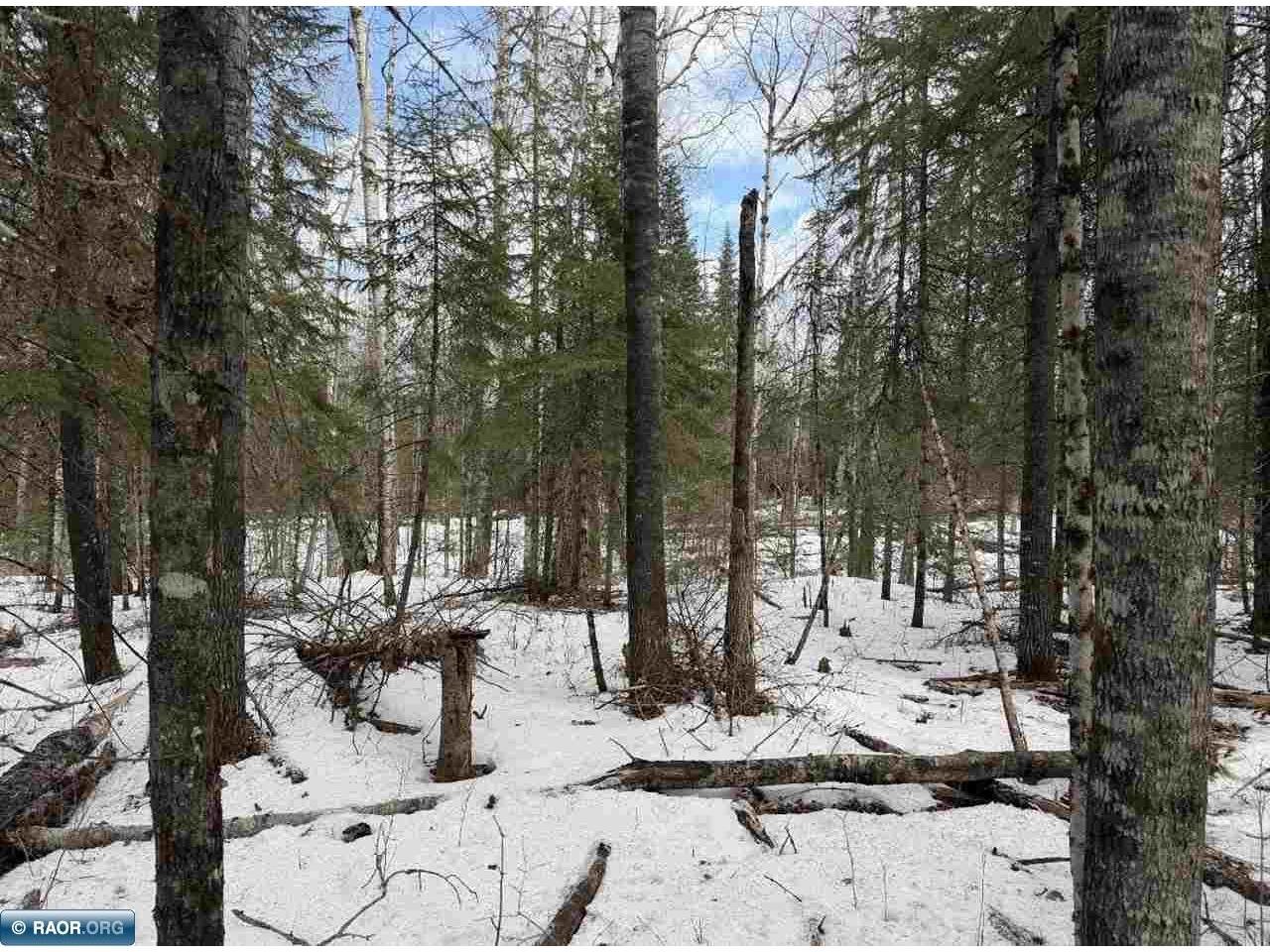 TBD Town Road 211 International Falls MN 56649 - Rainy River 149665 image28