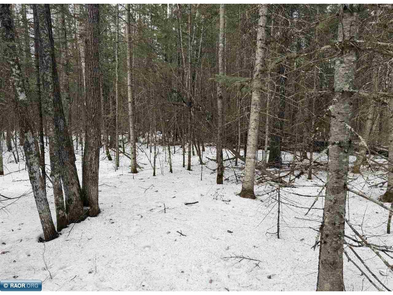 TBD Town Road 211 International Falls MN 56649 - Rainy River 149665 image4