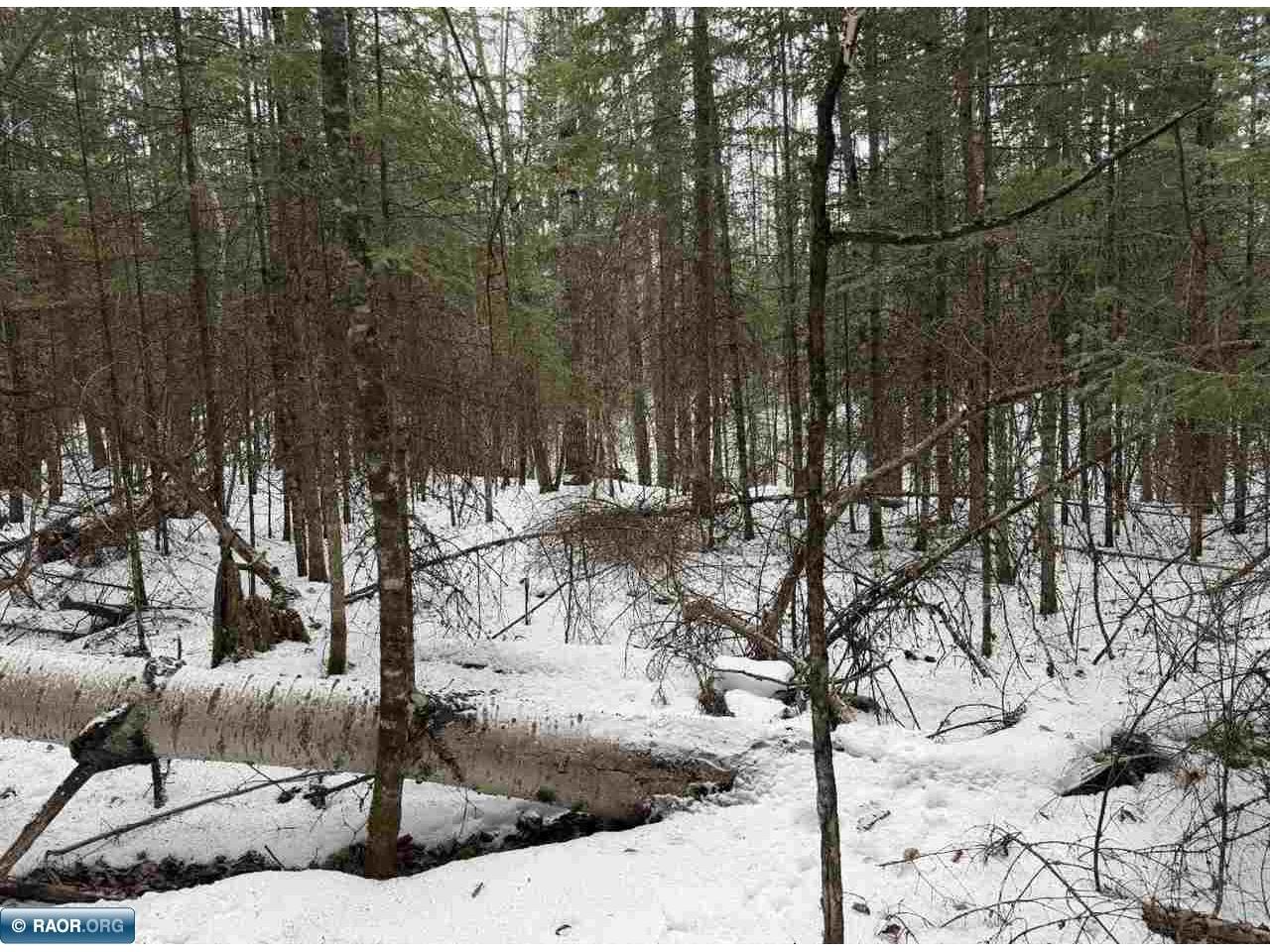 TBD Town Road 211 International Falls MN 56649 - Rainy River 149665 image5