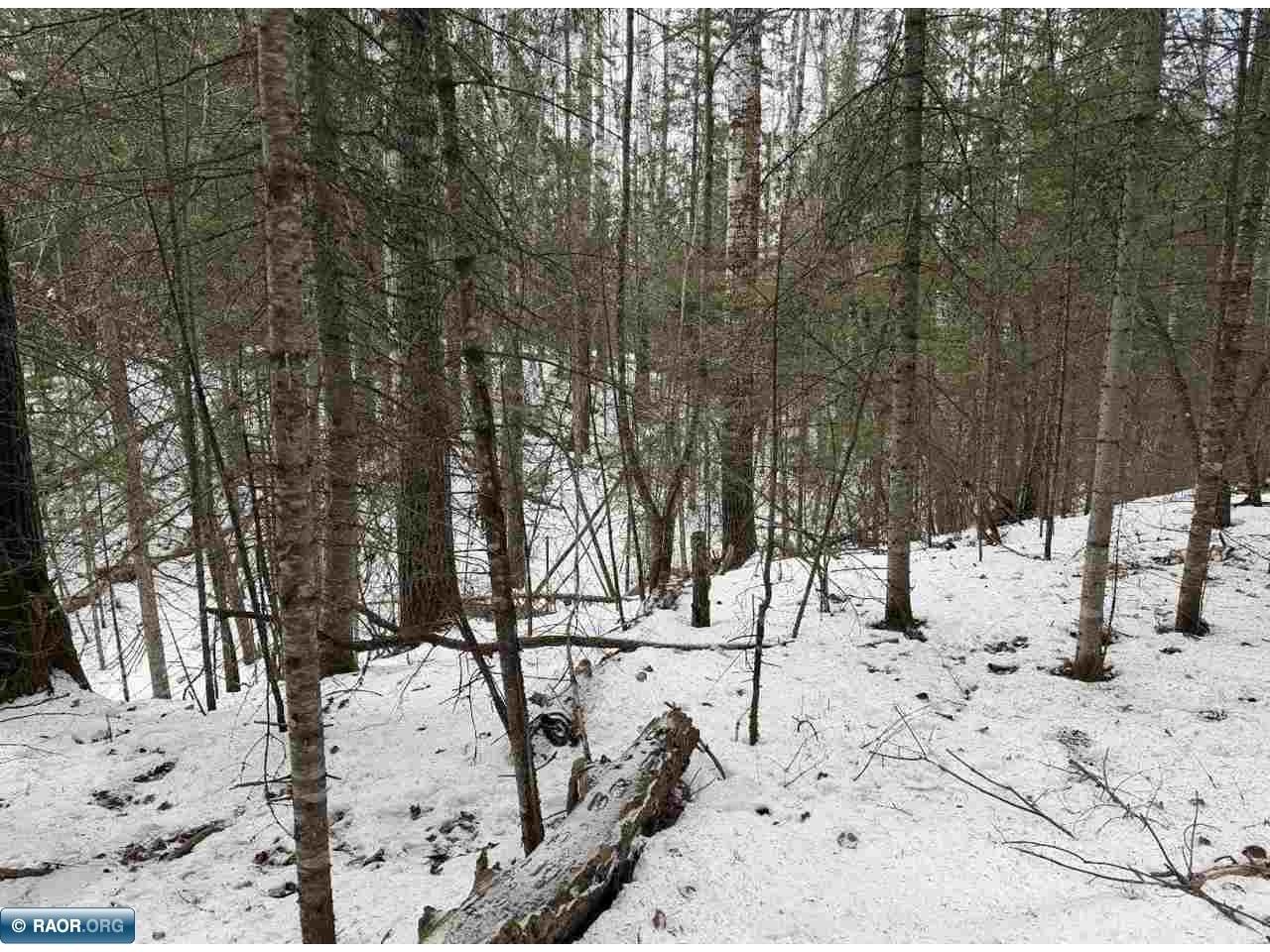TBD Town Road 211 International Falls MN 56649 - Rainy River 149665 image6