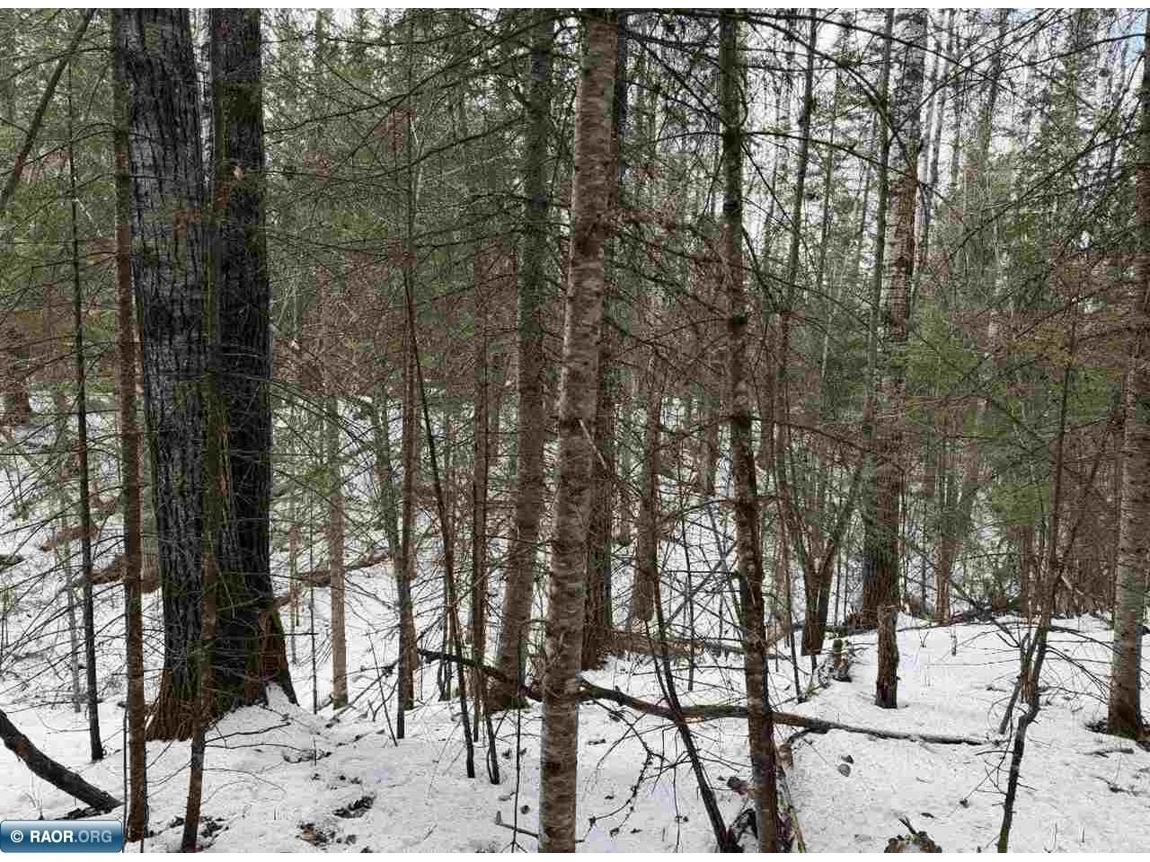 TBD Town Road 211 International Falls MN 56649 - Rainy River 149665 image7