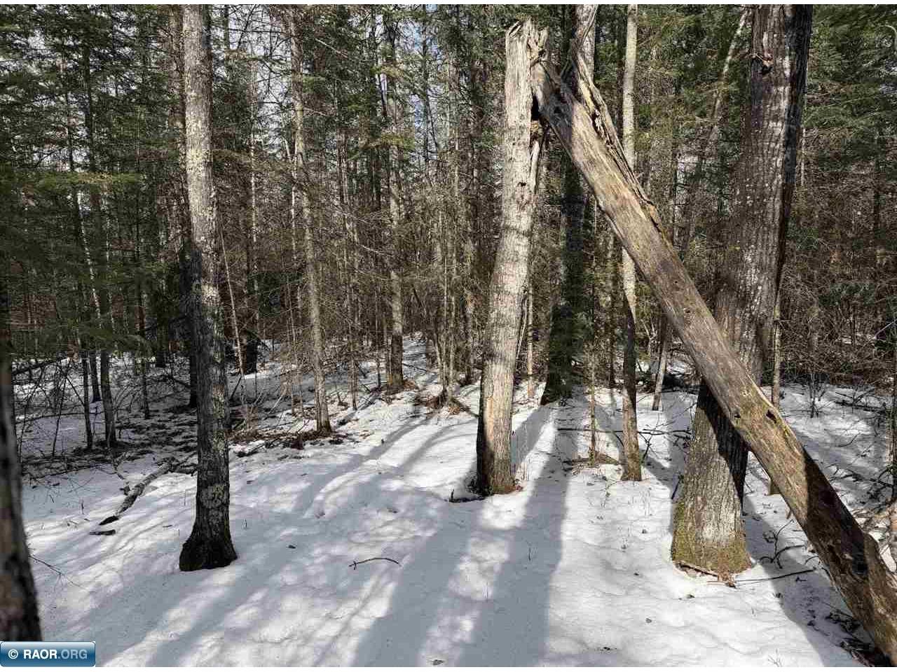TBD Town Road 211 International Falls MN 56649 - Rainy River 149665 image8