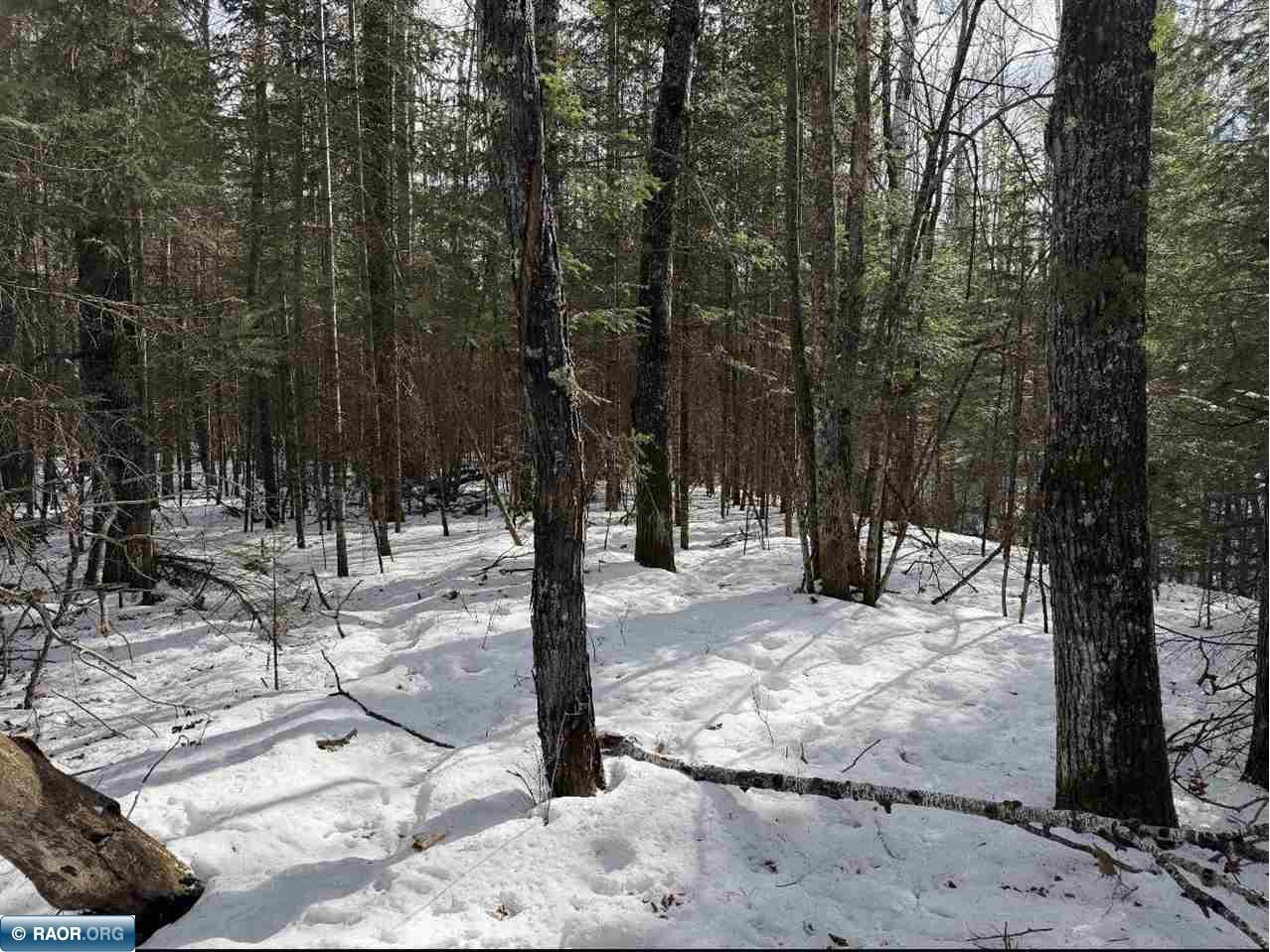 TBD Town Road 211 International Falls MN 56649 - Rainy River 149665 image9